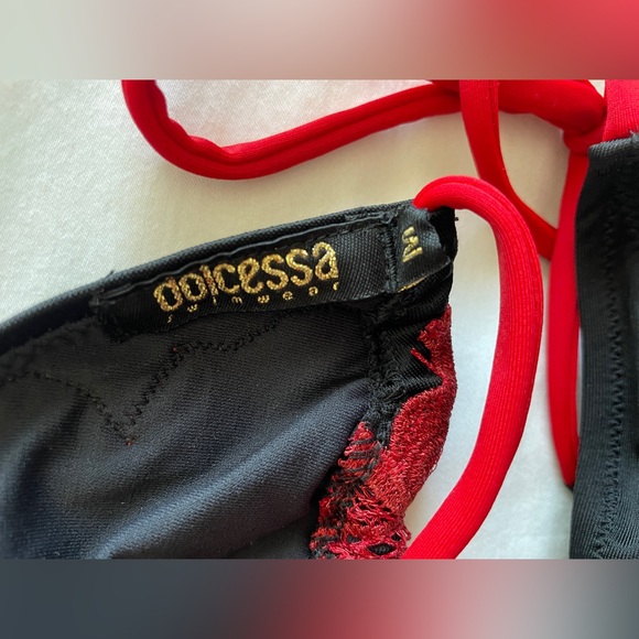 Dolecessa Swimwear | Red Rose Embroidered Black String Bikini, Size Medium - Picture 4 of 6